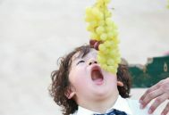 多吃葡萄会胖吗 吃葡萄的好处和坏处