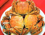 又到吃螃蟹季节 孕妇能不能吃螃蟹