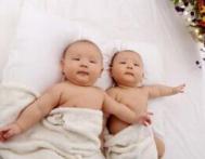 吃促排卵药生双胞胎可信吗?
