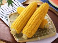 产后吃玉米也能减肥真的吗