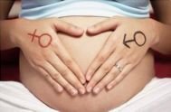 怀孕初期应该注意些什么
