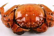 螃蟹蒸多长时间  螃蟹蒸多长时间最美味