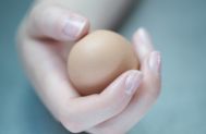 水煮蛋减肥法   水煮蛋半月减8斤的减肥食谱