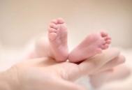 分娩 胎儿是如何被生出来的？