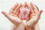 早产儿的护理掌握四个重点