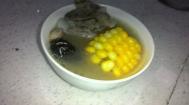 砂锅煲靓汤——大骨玉米汤的做法