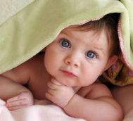 如何对待宝宝的好奇心