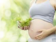 孕妈妈怎么吃才能保证营养均衡