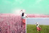 Photoshop打造魔幻的粉调红绿色草原人物图片