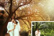 Photoshop调出树林婚片温馨的橙褐色