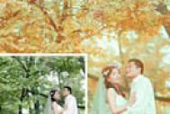 Photoshop打造柔美的橙绿色树林婚片