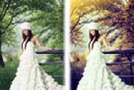 Photoshop给树林美女婚片增加梦幻的黄蓝色