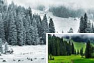 Photoshop快速把绿色风景图片转为雪景效果