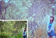 Photoshop给树林人物图片加上唯美的韩系淡蓝色
