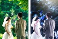 Photoshop调出树林婚片梦幻的纯蓝色