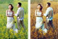 Photoshop打造柔和的金色花朵背景婚片
