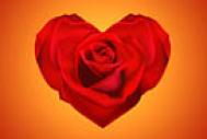 Photoshop制作漂亮的情人节心形玫瑰
