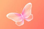 Photoshop制作非常可爱的粉色水晶蝴蝶