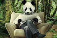 PS合成密林中看报的熊猫人