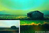 Photoshop打造一幅漂亮的青绿色田园图片