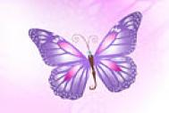Photoshop制作一只漂亮的紫色卡通蝴蝶