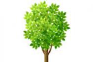 Photoshop制作一棵长满绿叶的卡通小树