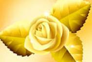 Photoshop打造一只漂亮的金色玫瑰