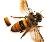 Photoshop合成逼真的机械小蜜蜂教程