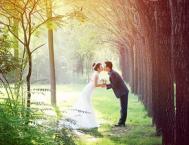 Photoshop调出森林婚纱照片绚丽的阳光色彩