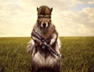Photoshop打造草原上的超酷的松鼠战士
