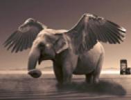 Photoshop合成一头长了翅膀的大象