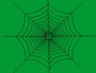 Flash基础教程：绘制逼真的蜘蛛网效果图