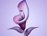 Photoshop绘制漂亮的紫色立体花朵教程