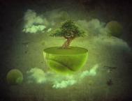 Photoshop合成在悬浮在空中的绿色大树