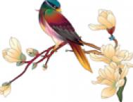 Illustrator绘制矢量风格的中国花鸟画