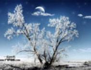 Photoshop制作一幅月光下的雪松景色