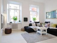 78平米瑞典优雅迷人的公寓设计