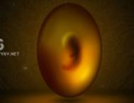 Photoshop鼠绘教程：绘制破茧前夜的鸡蛋