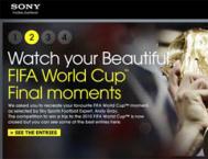 各种风格的世界杯网站界面欣赏