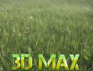 3DMAX详细解析真实草地效果图制作教程