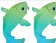 Illustrator鼠绘教程：绘制逼真的双鲤鱼