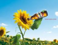 国外啤酒平面广告设计欣赏