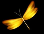 Photoshop打造漂亮的金色蜻蜓教程