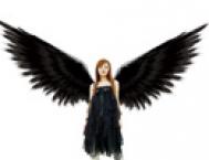 Photoshop打造一个漂亮的黑翼天使