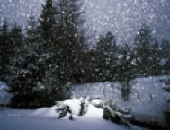 20招摄影技巧解析冬天拍雪景