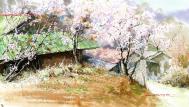 韩国画家申宗植（Shin Jong Sik）油画花卉作品