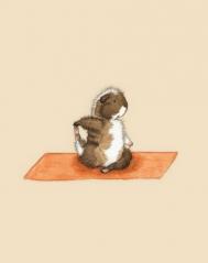 练瑜伽的小仓鼠