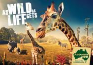 澳大利亚动物园宣传广告欣赏