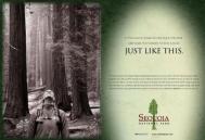 红杉国家公园广告欣赏