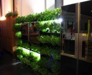 米兰家具展：绿色生活厨房设计欣赏